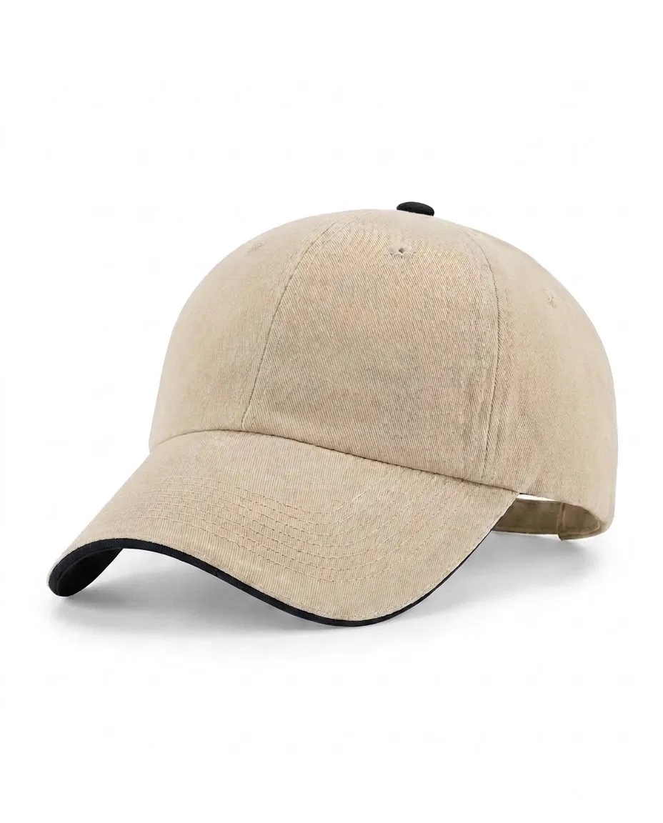 Half-Sandwich Dad Cap in Stone / Black